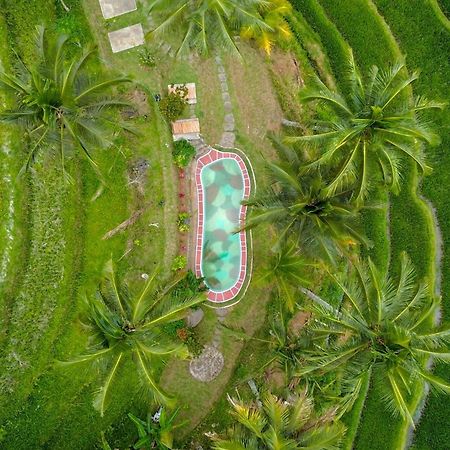 Pesona Bali Ecolodge By Agata Jatiluwih Εξωτερικό φωτογραφία