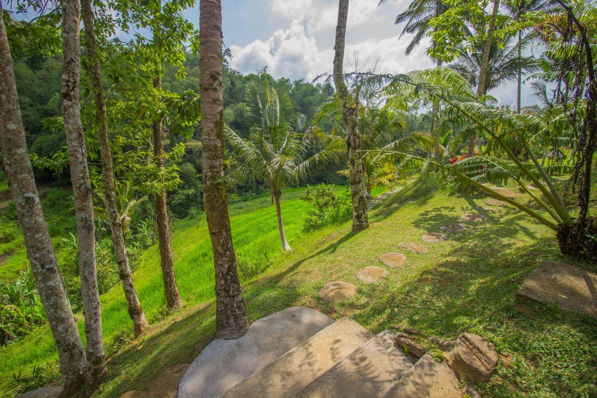 Pesona Bali Ecolodge By Agata Jatiluwih Εξωτερικό φωτογραφία