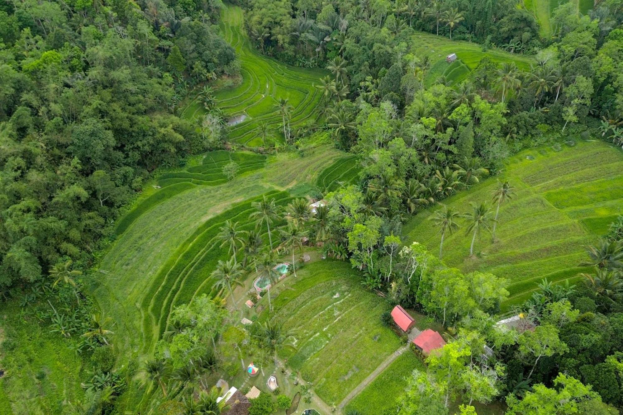 Pesona Bali Ecolodge By Agata Jatiluwih Εξωτερικό φωτογραφία