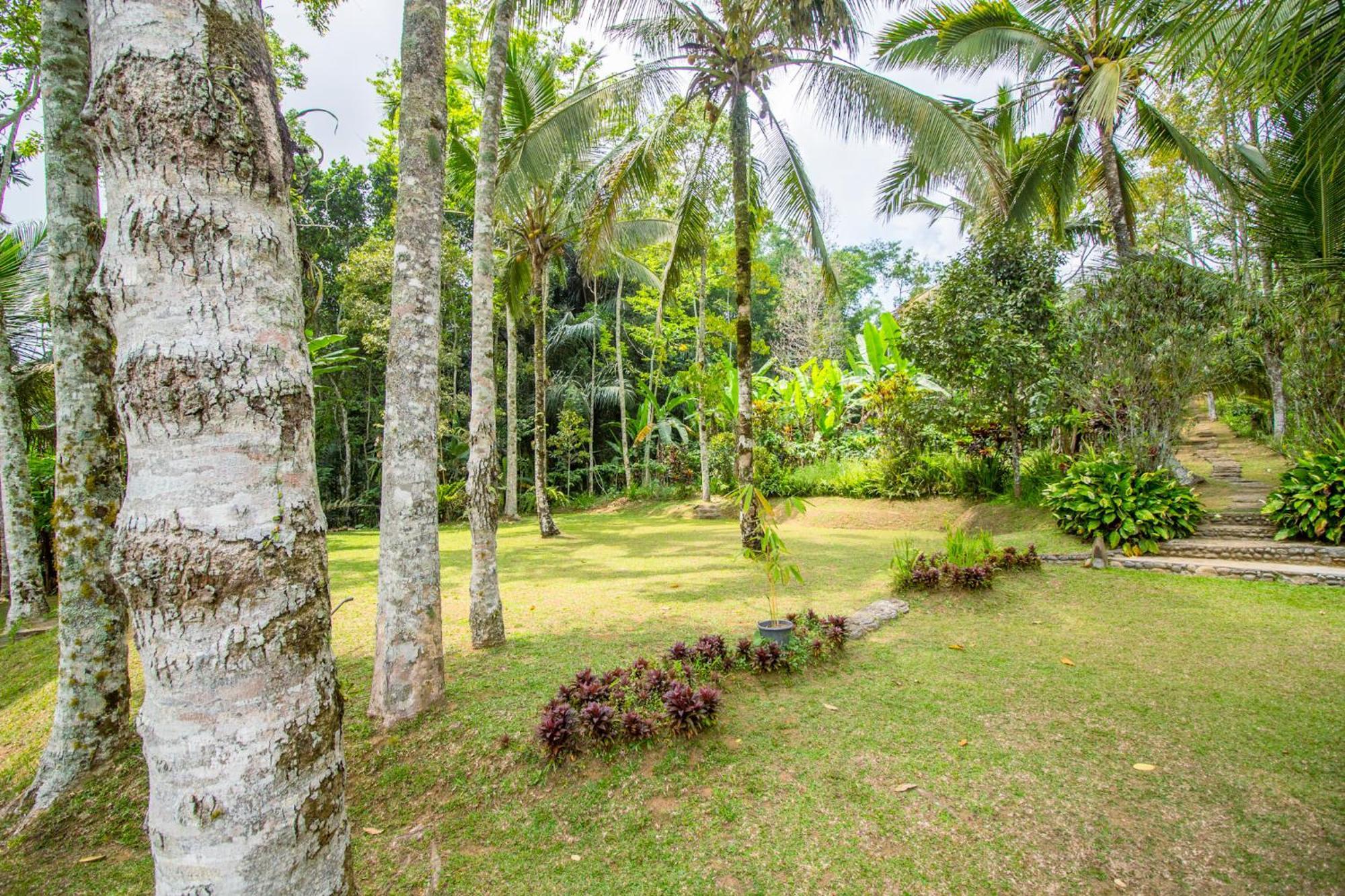 Pesona Bali Ecolodge By Agata Jatiluwih Εξωτερικό φωτογραφία