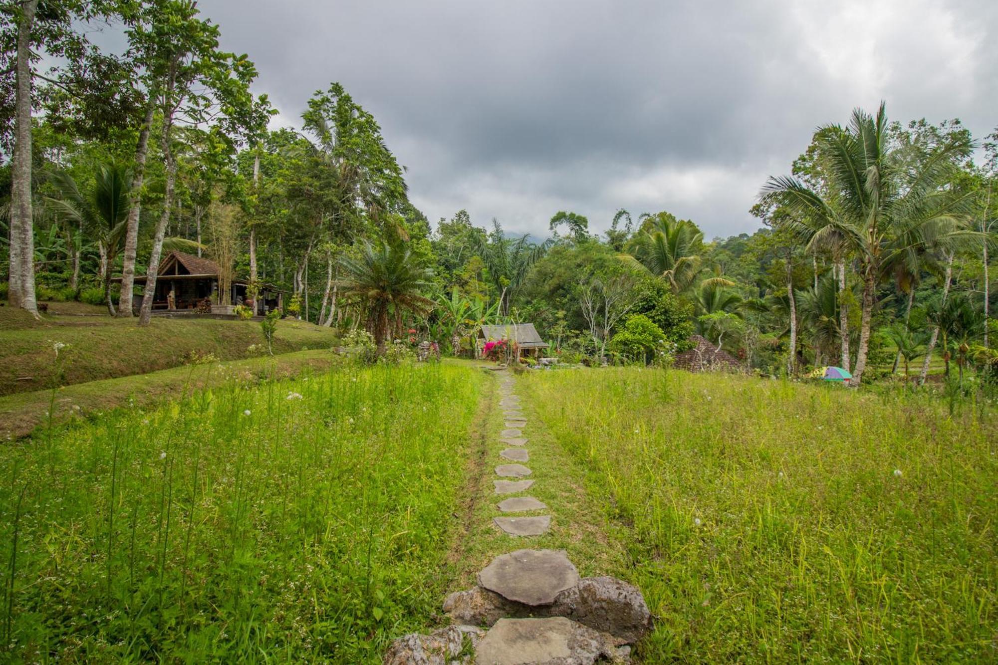 Pesona Bali Ecolodge By Agata Jatiluwih Εξωτερικό φωτογραφία