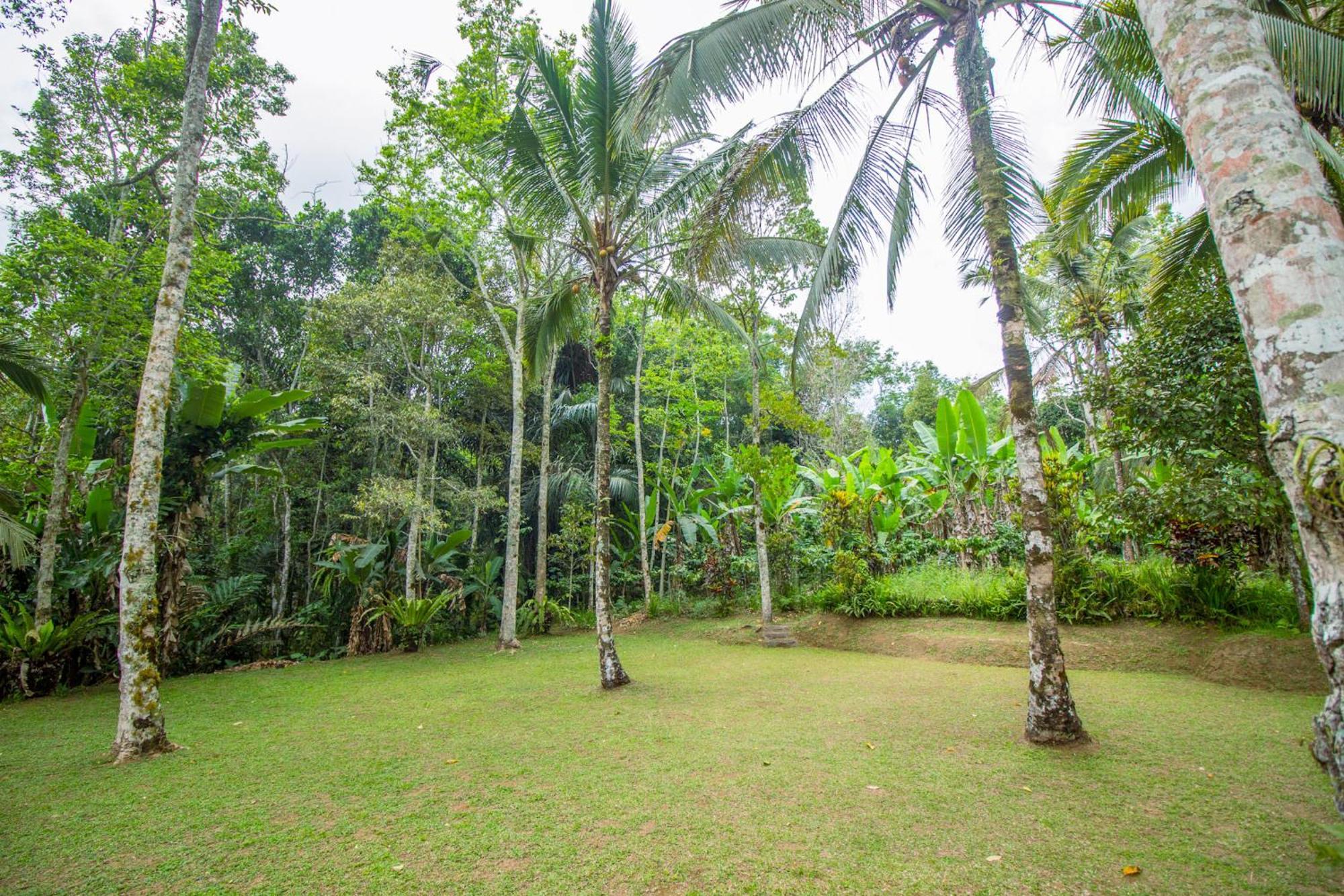 Pesona Bali Ecolodge By Agata Jatiluwih Εξωτερικό φωτογραφία